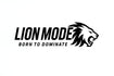 Translation missing: en.Lion Mode  accessibility.home